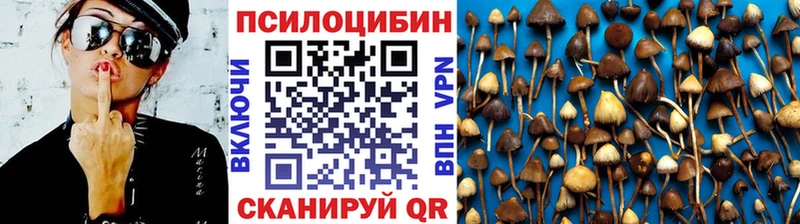 Псилоцибиновые грибы MAGIC MUSHROOMS  купить  сайты  Павловская 
